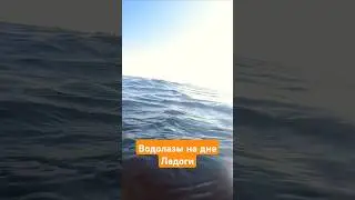 Как водолазы работают на дне Ладожского озера ▶️ ПОДРОБНЕЕ ВЫШЕ #водолаз #вов #дорогажизни