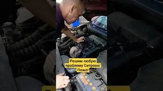 Пежо Ситроен: решаем проблемы в Москве! 