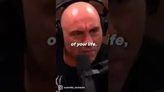 Joe Rogan - “Stop complaining and just DO!”
