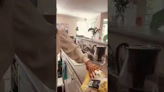Закупка продуктов 