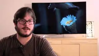 Samsung vs LG OLED: Which is Better?