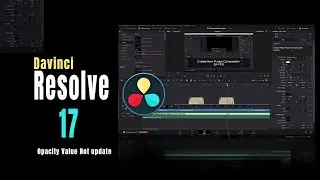 Black Magic Design Davinci Resolve17 Text Background Opacity Not Update | Bug