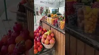 В какой сезон лучше всего отправиться в Грузию