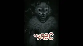 мясорубка ❤️ 