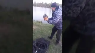 28 мая 2024 г.