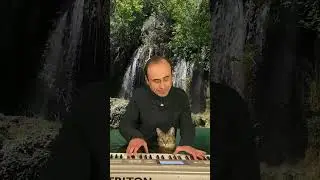 А у вас есть домашние питомцы? Как они помогают вам в жизни😻? Song From A Secret Garden