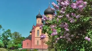 Эрмитажный фильм | Пел соловей - Руслан Богатырев