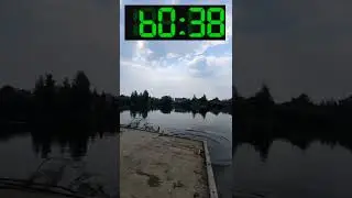 Челлендж 4 королей или 100 отжиманий за 100 дней! День 12  Плюс завещание для @Кирилла