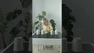 Развивающие игры со стаканчиками