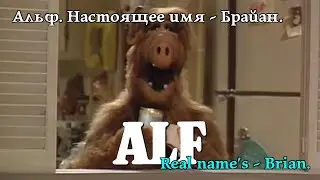 Альф. Справжнє ім'я - Браян. Alf. Real name's - Brian. Альф. Настоящее имя - Брайан. #alf