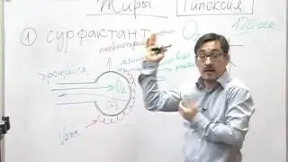Обезжиренная диета: тотальный вред для беременнности!