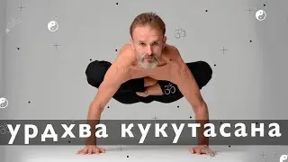 Урдхва кукутасана   поза 
