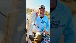 Вот и лето прошло? Рыбалка на спиннинг удалась #fishing
