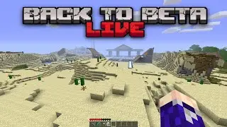 Excavation on the Back to Beta Minecraft server