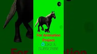 Black Horse 🐎 Running 
