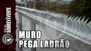 wall catches thief