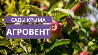 Агровент. Сады Крыма