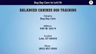 Top 10 Dog Day Care In Lehi Ut