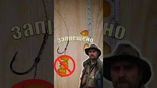 Где запрещена рыбалка на кукурузу и почему на нее нельзя ловить #fishing #рыбалка