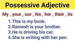 Possessive Adjective /  Possessive Adjective in English Grammar