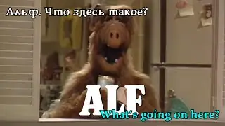 Альф. Що тут таке? Alf. What's going on here? Альф. Что здесь такое? #alf