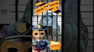 Detective Bibib the Owl‼️🦉🕵️