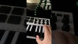 Fl Studio Live Looping - MPK mini 2 vs. AKAI Fire