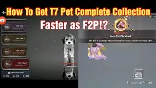 Black Desert Mobile Pet Guide: How To Complete T7 & T6 Pet Collection