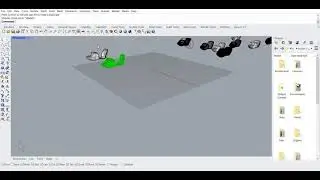 Rhino Exploration
