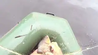 На   озере.  Проверяем  сеть.