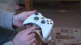 How to Set Up a Microphone With an Xbox Live
