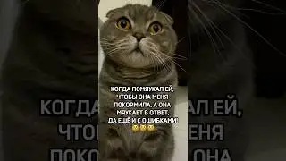 ПОМЯУКАЙ В ОТВЕТ