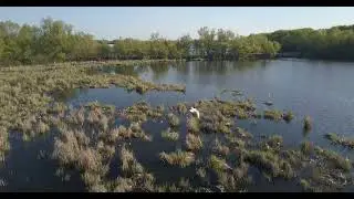 Весенняя река. Красносвободное DJI 0016