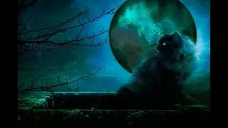 ОТКАТ И ОБРАТКА.. ПОГОВОРИМ..ИНГА ХОСРОЕВА