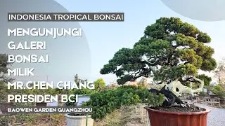 Galeri Bonsai 