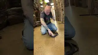 Almost Bitten By Venomous Snake 🐍
