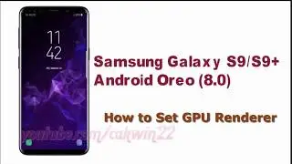 Samsung Galaxy S9 : How to Set GPU Renderer