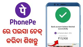 Phonepe Re Kemiti Balance Check Kariba | How To Check Balance On Phonepe In Odia | Balance Check