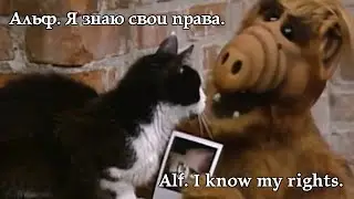 Alf. I know my rights. Альф. Я знаю свои права. 
