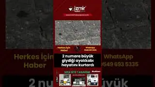 2 numara büyük giydiği ayakkabı hayatını kurtardı