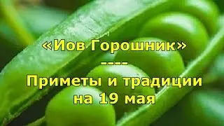 Народный праздник «Иов Горошник». Приметы и традиции на 19 мая.