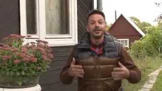 Звездная поляна