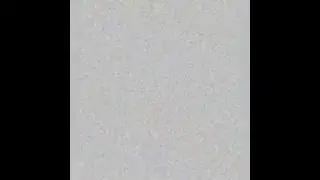 Maria Sellers Live Stream