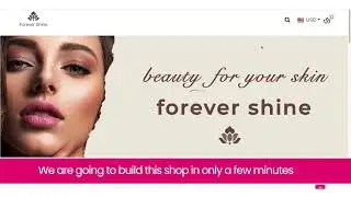 Sell The Trend SHOPS Walkthrough! | Building a dropshipping store