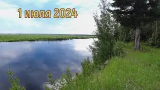Обстановка на Конде 1 июля 2024 года