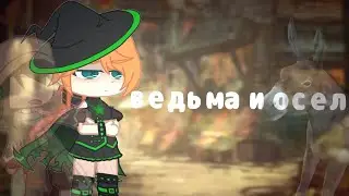 ☆ведьма и осел☆