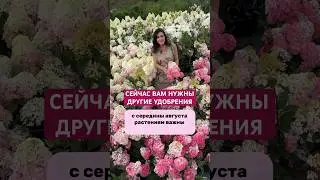 ПРО УХОД ЗА САДОМ В АВГУСТЕ 👉 в описании #садовыйцентр #сад #цветы #длядачи