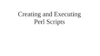 Creating and Executing Perl Scripts
