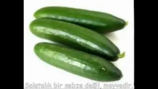 Enteresan Bilgiler Serisi 1