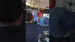 TikToker Sets Up Hammock in Bus..